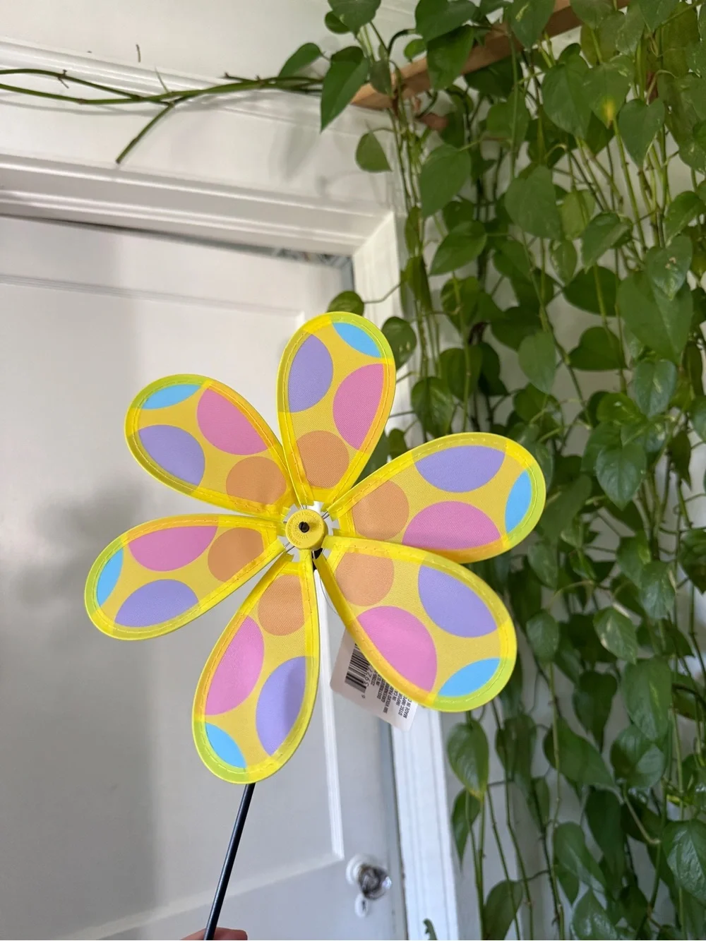 N/A cheerful yellow